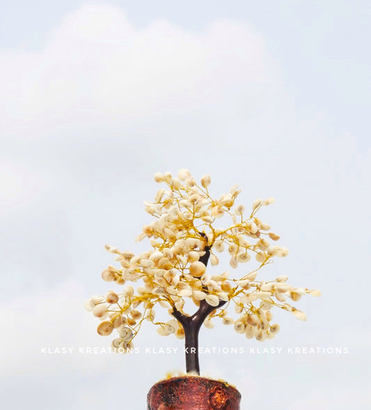 Gomti Chakra Tree - 300 Chips