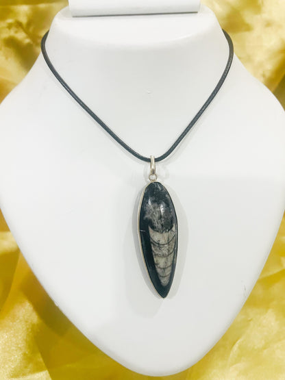 Orthoceras Kubera Pendant - Wealth | Grounding | Ancestral Power