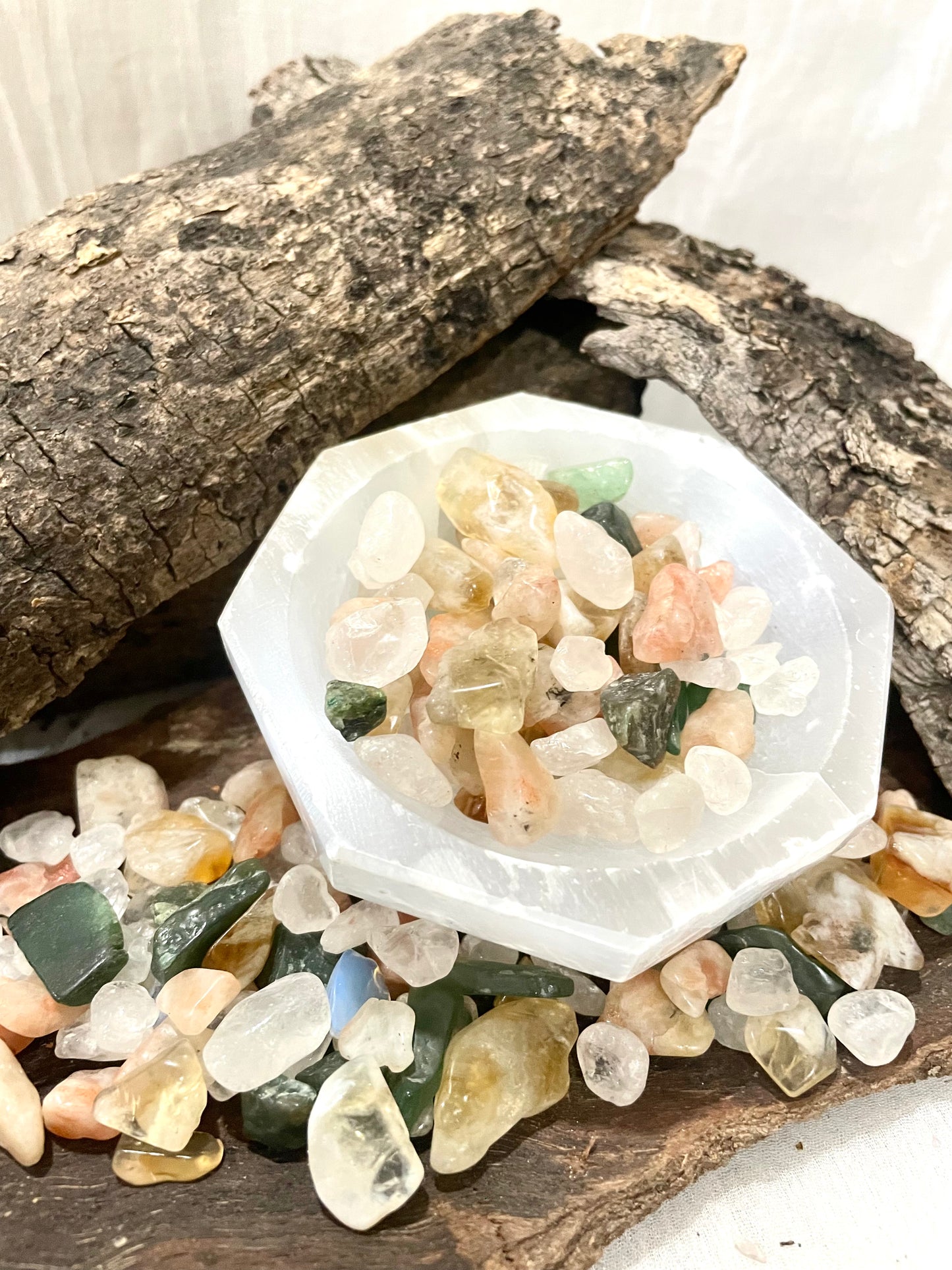 Wishful Magnet Chips Mix