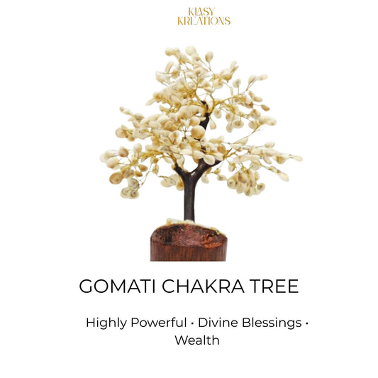 Gomti Chakra Tree - 300 Chips